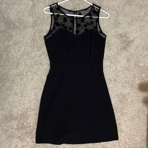 Lauren Conrad Black Dress